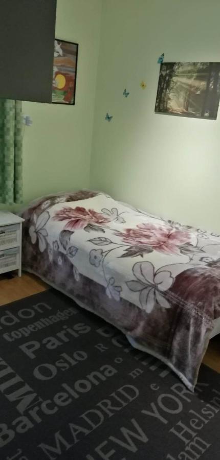 Gjesterom Til Leie I Et Privat Hus Brumunddal エクステリア 写真