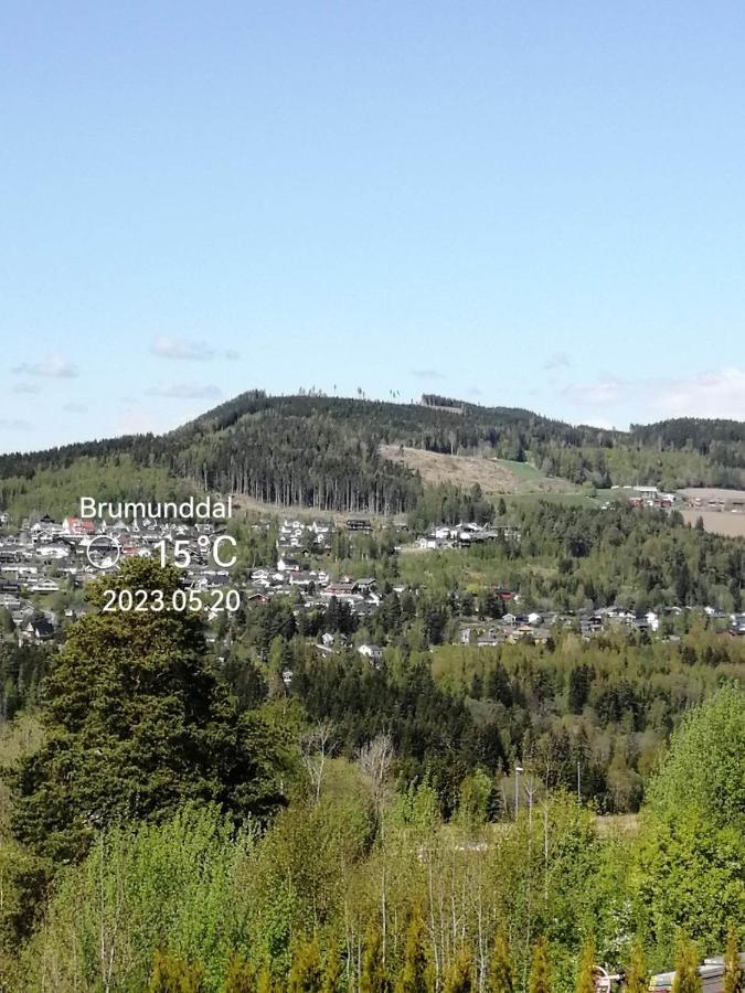 Gjesterom Til Leie I Et Privat Hus Brumunddal エクステリア 写真