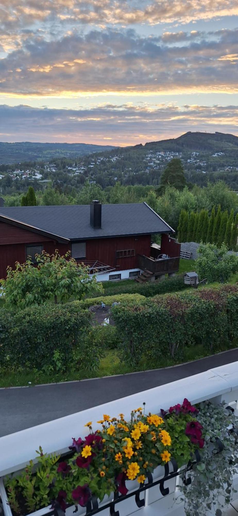 Gjesterom Til Leie I Et Privat Hus Brumunddal エクステリア 写真